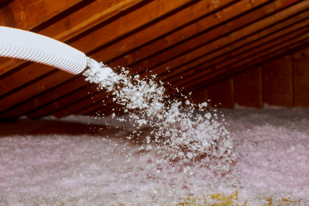Best Spray Foam Insulation in Yaeyville, NC