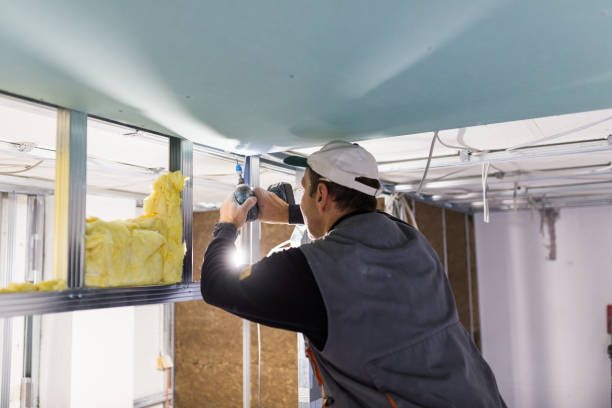 Best Geographic-Specific Insulation Services in Yaeyville, NC